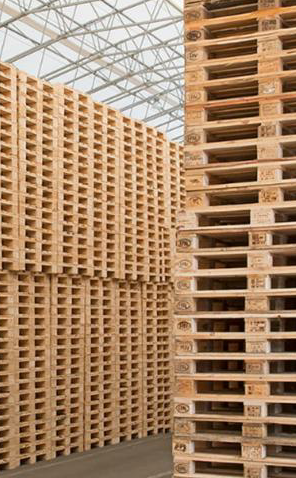 Reading Pallets